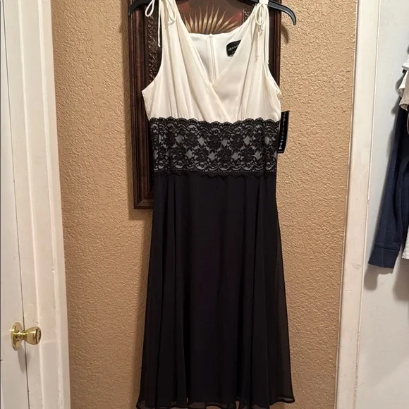 chinese dress ladies Amazon.com: Connected Apparel Womens Lace Sleeveless Cocktail Dress B/W 14  Sliver : Clothing, Shoes & Jewelry main image 0